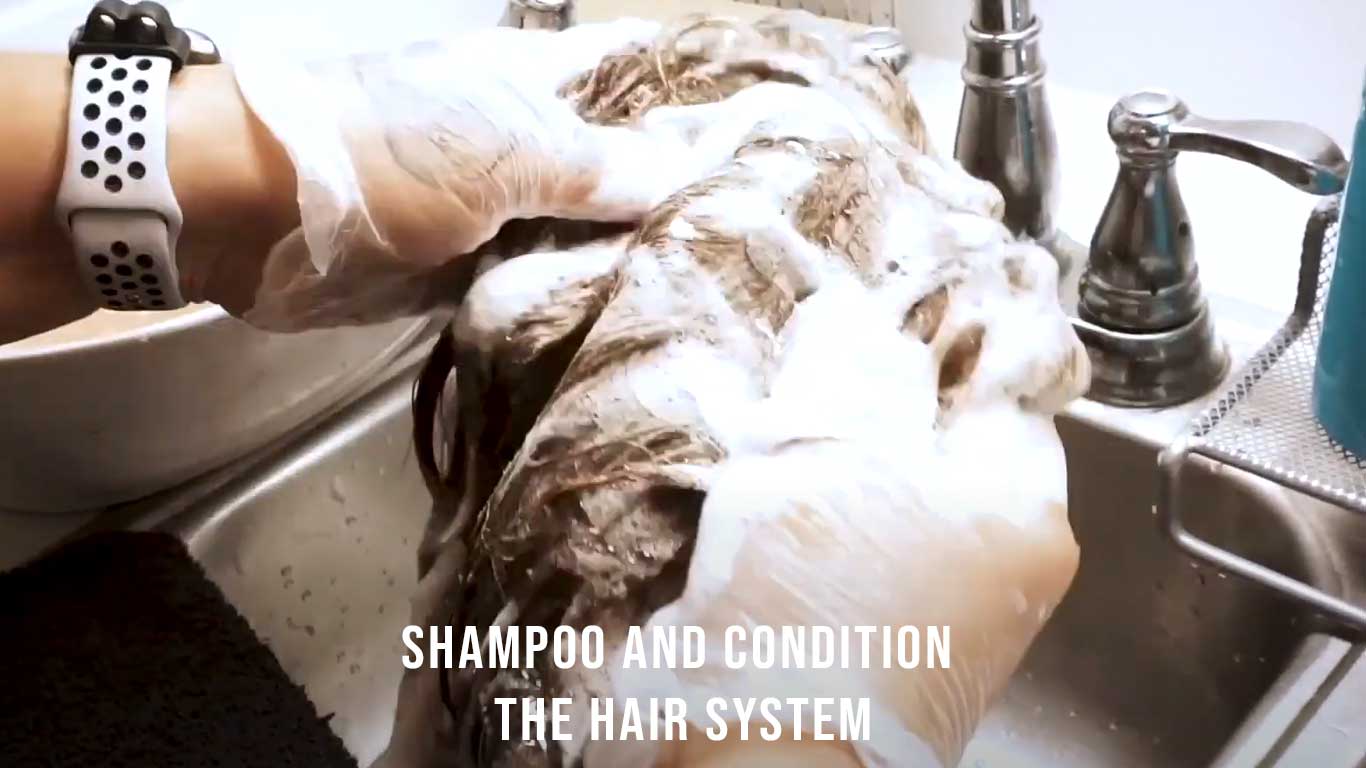 Shampoing Le Complement Capillaire