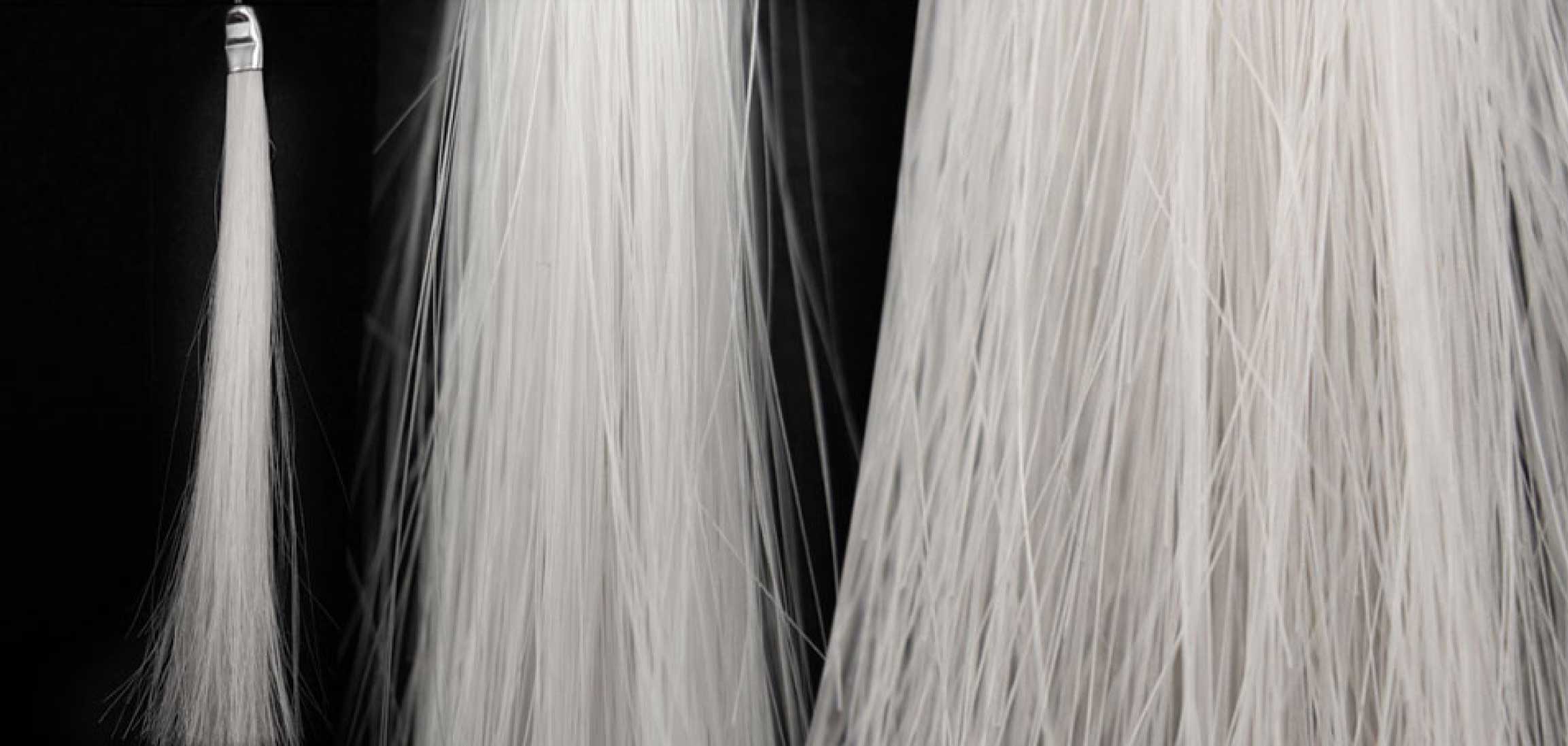 Cheveux