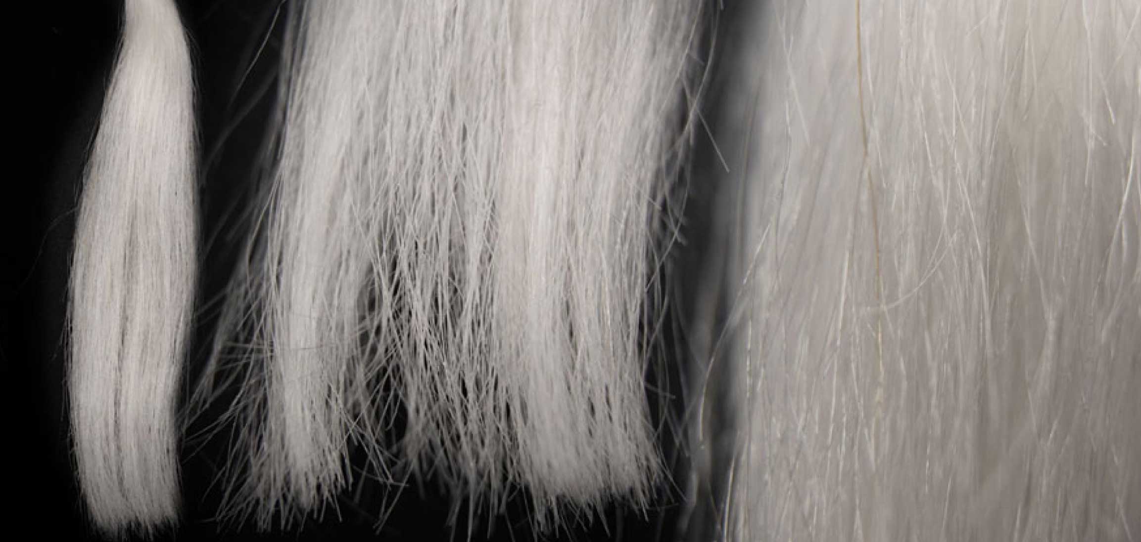 Cheveux